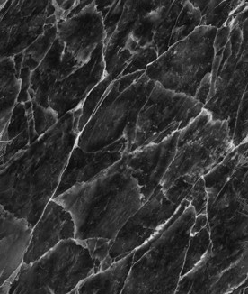 marble6.gif (88074 bytes)